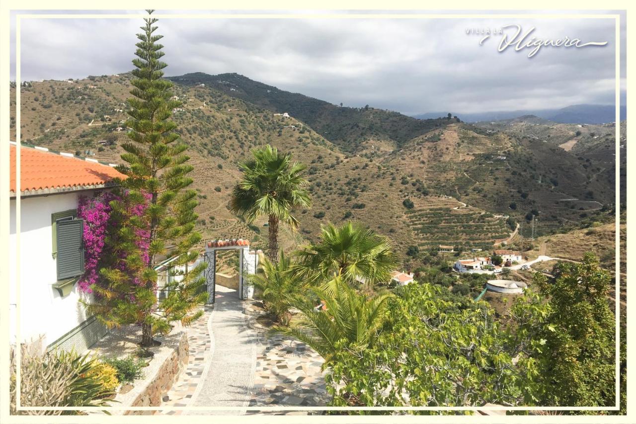 Villa La Higuera Sayalonga Extérieur photo